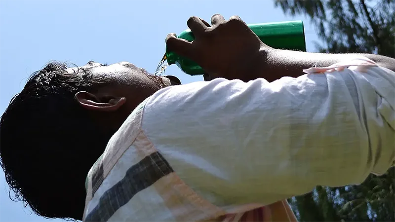how much water should you drink daily